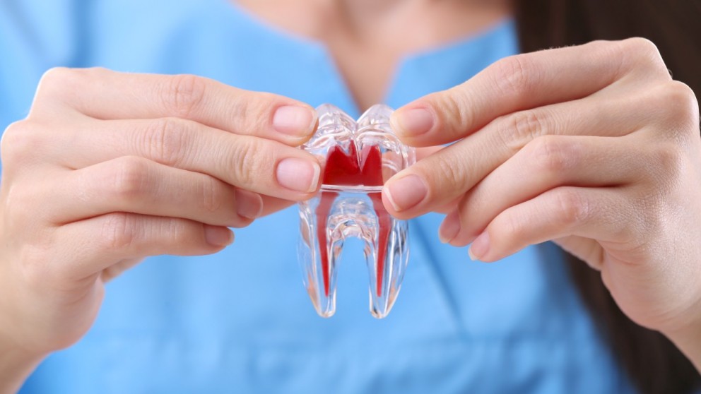 Cura dell'interno del dente